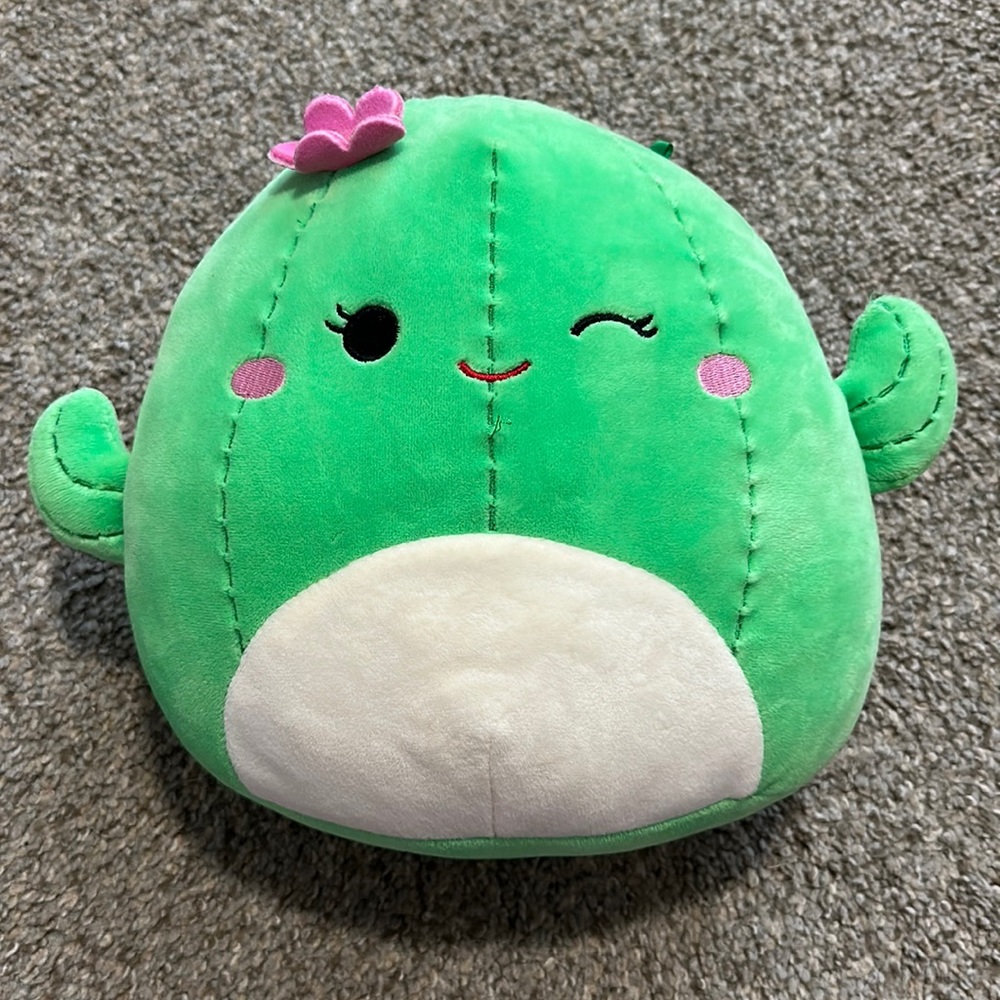 Girly cactus squishmallow